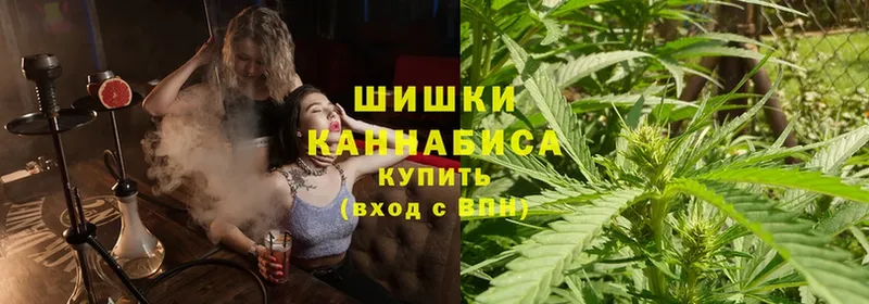 Бошки марихуана Amnesia  Нахабино 